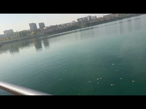 Видео: Понтонный переход через озеро Сайран.