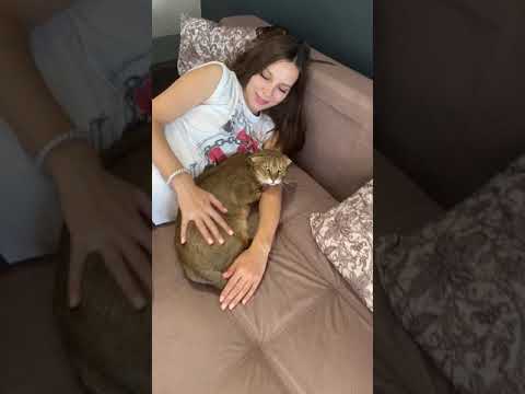 Видео: Кошка охраняет ребеночка😻