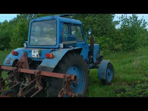 Видео: Посадка картофеля 2021 год.