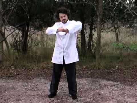 Видео: 36 форм стиля Ян (боевые применения 2 дорожки)