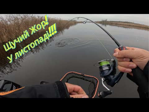 Видео: Щучий Жор! У листопаді!!! + бонус!