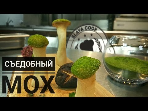 Видео: Съедобный мох. Декор. Рецепт. Slava cook