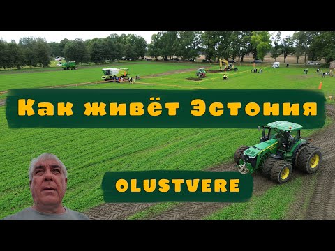 Видео: Как живёт Эстония. Olustvere посёлок в сердце страны.