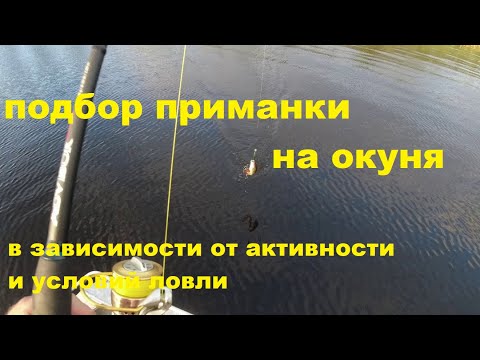 Видео: Подбор приманки на окуня в зависимости от условий и степени его активности