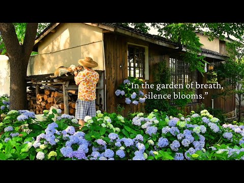 Видео: В саду дыхания цветет тишина.../плейлист для тихих часов/