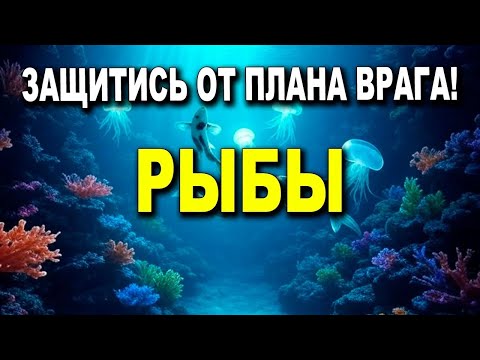 Видео: РЫБЫ ♓ ТВОЙ СВЕТ НЕ ПОГАСИТЬ ✨ БОЖЕСТВЕННАЯ СПРАВЕДЛИВОСТЬ ИДЁТ К ТЕБЕ🛡️