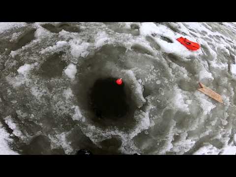 Видео: Рыбалка ХАПУГОЙ на одной из Сибирских рек. Дальневосточная снасть не перестаёт удивлять!!!