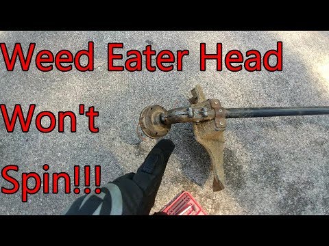 Видео: Как починить Weed Eater, если голова не кружится