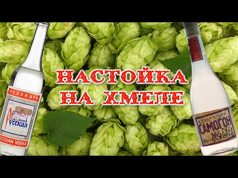 Видео: Настойка на хмеле.Что будет,если добавить хмель в самогон и в водку.Не рецепт!!!