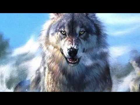 Видео: А волки гораздо добрее людей (2) KORG PA-700