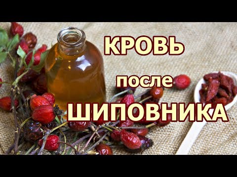 Видео: Кровь после шиповника