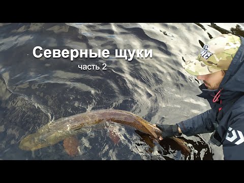 Видео: Cеверные щуки, бешеный клёв и приключения на Ямале - часть 2. Carzy pikes fishing Russia Yamal