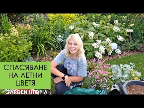 Видео: СПАСЯВАНЕ на летни цветя