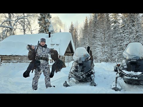 Видео: ОХОТА НА ГЛУХАРЯ НА ЛУНКАХ В -35 МОРОЗА. РУЖЬЕ ИЖ-54. УДАЧНЫЕ ПОДХОДЫ ПРИНЕСЛИ ДВА ТРОФЕЯ.
