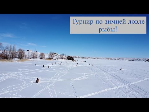 Видео: Турнир по зимней ловле рыбы.