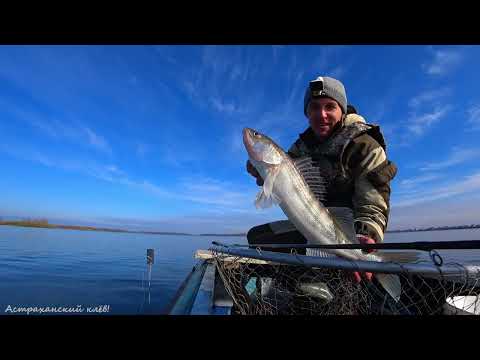 Видео: ПОЙМАЛ ЗАКУСКУ И ПРИГОТОВИЛ ЕЁ. ПРОЩЕ НЕКУДА. Маринованное филе из судака и щуки, простой рецепт