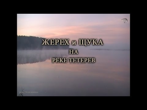 Видео: Жерех и щука на реке Тетерев