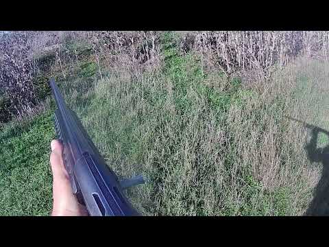 Видео: Открытие на зайца 2025