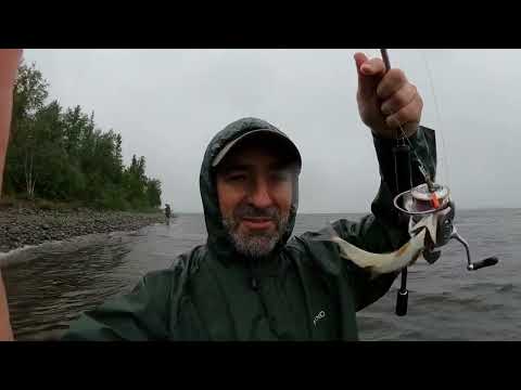 Видео: ЛОВОЗЕРО НА КОЛЬСКИЙ: Рыбалка, походы, отдых - 2022 год