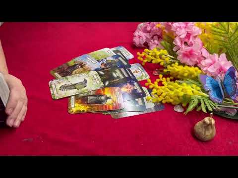 Видео: 💥ЕГО РЕШЕНИЕ В ОТНОШЕНИИ ВАС 💥