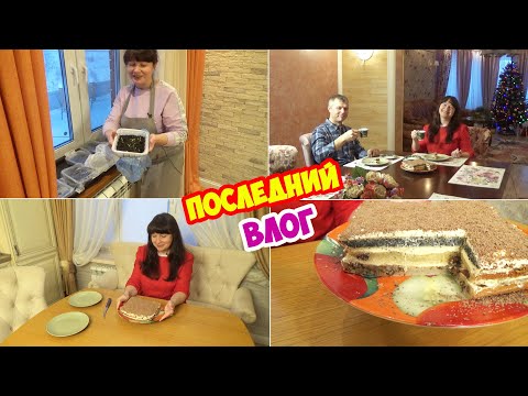 Видео: Первая РАССАДА. Новости о КРОЛИКАХ. Торт ПРАЗДНИК. И последнее кофепитие и наши пожелания!