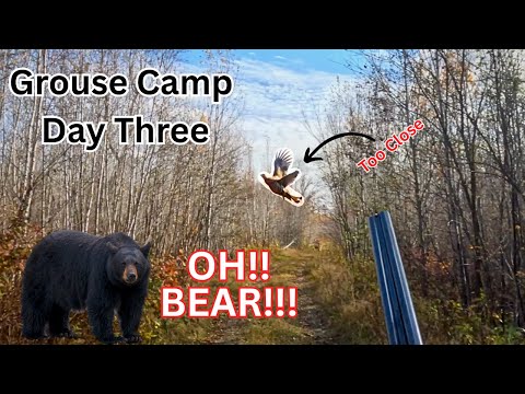 Видео: Самый безумный день охоты на куропаток?! | Мы столкнулись с медведем!!