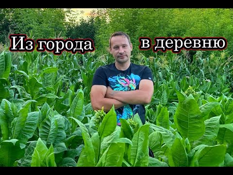 Видео: ОН БРОСИЛ ГОРОД УЕХАЛ ЖИТЬ В ДЕРЕВНЮ! Выращивает СТАРИННЫЕ СОРТА овощей, ЭКЗОТИЧЕСКИЕ деревья.