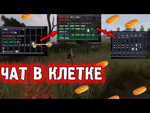 Видео: Наказал ЧАТ на стриме | Fladar в Anomaly #1