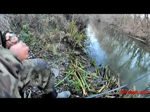 Видео: За клен през ноември на река Лесновска край Долни Богров