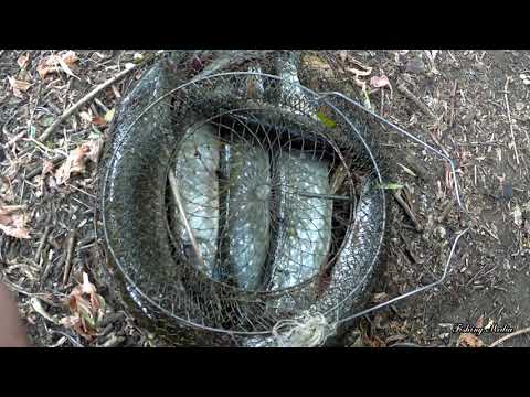 Видео: Эта речка в очередной раз доказывает, что ее можно любить! Рыбалка Сплавом по реке Бузулук.