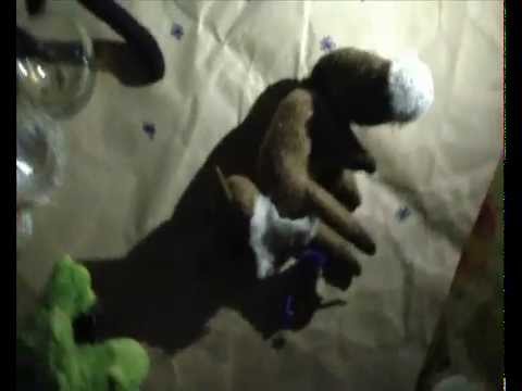 Видео: НИИ Косметики - Оборотень Лис