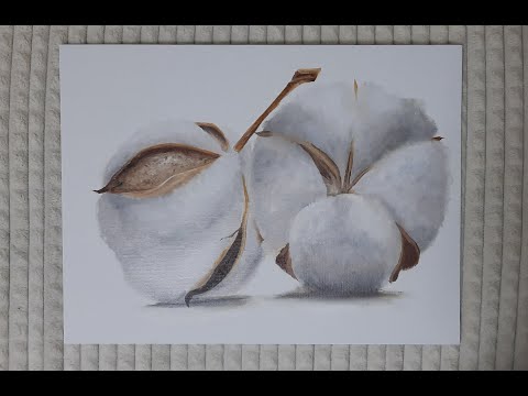 Видео: Рисуем хлопок маслом