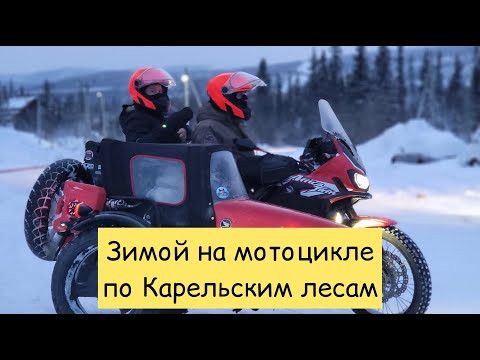 Видео: Зимой в Карелию на мотоцикле с собакой. Africa Twin Sidecar. Рускеала.