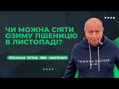 Видео: До якого числа можна сіяти озиму пшеницю | Оптимальні терміни вже закінчилися...