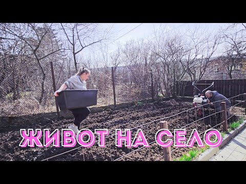 Видео: ЖИВОТ НА СЕЛО: Подготовка на градината и разсад. Работа от вкъщи и отново бацили.