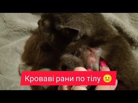 Видео: Vlog Продовжуєм лікування 