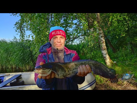 Видео: Рыбалка на московском море в июле