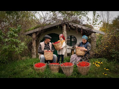 Видео: Заготовка и варка варенья из дикого боярышника 🍒🌿