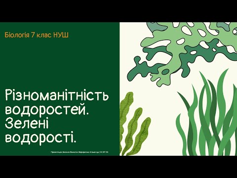 Видео: Біологія 7 клас НУШ Різноманітність водоростей  Зелені водорості