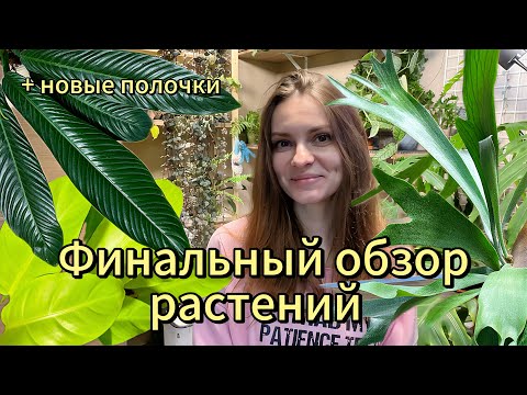 Видео: ОБЗОР ОСТАВШИХСЯ РАСТЕНИЙ + НОВЫЕ ПОЛОЧКИ
