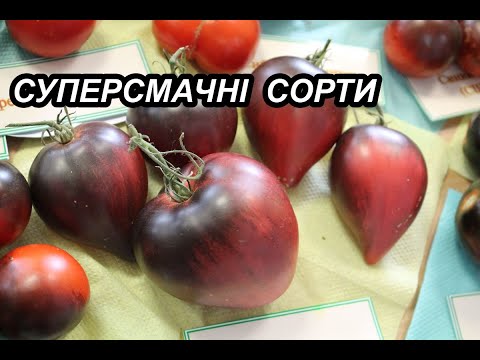 Видео: Два сорти помідорів, у які закохуєшся з першого шматочка!