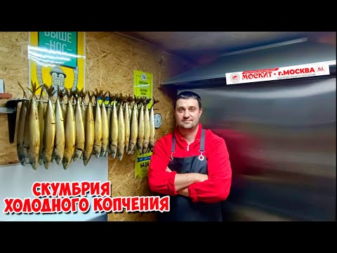 Видео: 💥🔥 СКУМБРИЯ ХОЛОДНОГО КОПЧЕНИЯ В КОПТИЛЬНЕ МОСКИТ🔥💥