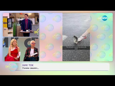 Видео: НИК ТОК: Най-любопитното от социалните мрежи - „На кафе“ (09.04.2025)