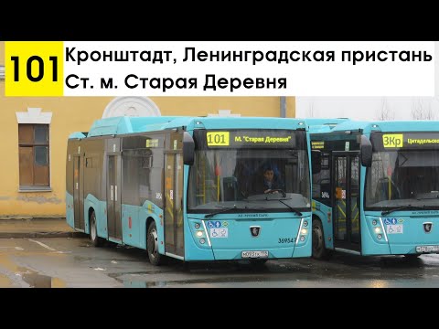 Видео: Автобус 101 "Кронштадт, Ленинградская пристань - ст. м. "Старая Деревня"