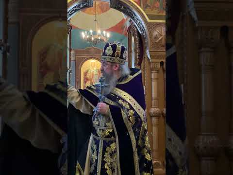 Видео: «Люта зима, но сладок рай...» Слово архимандрита Мелхиседека (Артюхина)