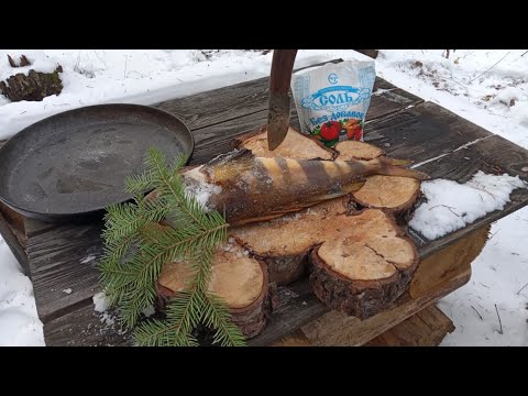 Видео: Отшельники,обед- рыба под солью как такое возможно!!