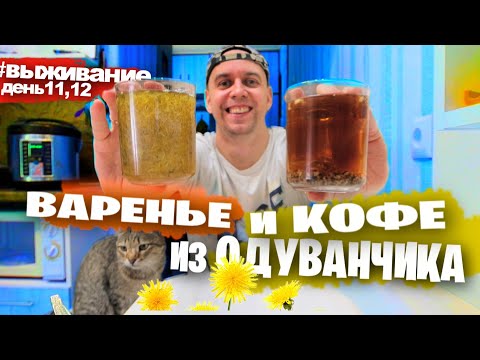 Видео: ЕМ ОДУВАНЧИКИ 😝 Выживание НА КАРАНТИНЕ день 11, 12