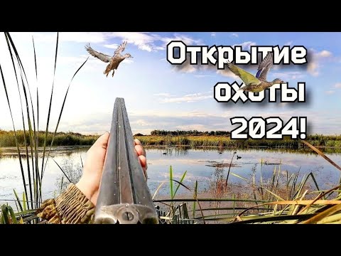 Видео: Открытие охоты 2024! Охота на утку в Сибири! #охотансо