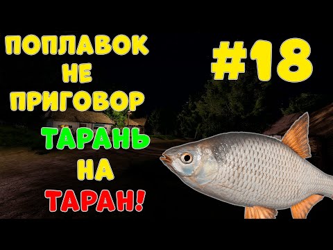 Видео: 🎣ПОПЛАВОК НЕ ПРИГОВОР🎣 - 18серия ¤ ТАРАНЬ НА ТАРАН! ¤ Русская рыбалка 4 | РР4