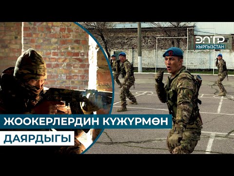 Видео: МЕКЕНИМЕ КЫЗМАТ КЫЛАМ